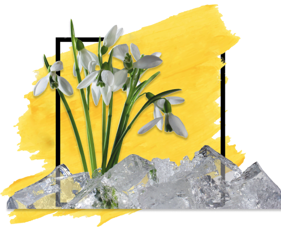 Untitled - 2023-02-20T171315 1 (1).png